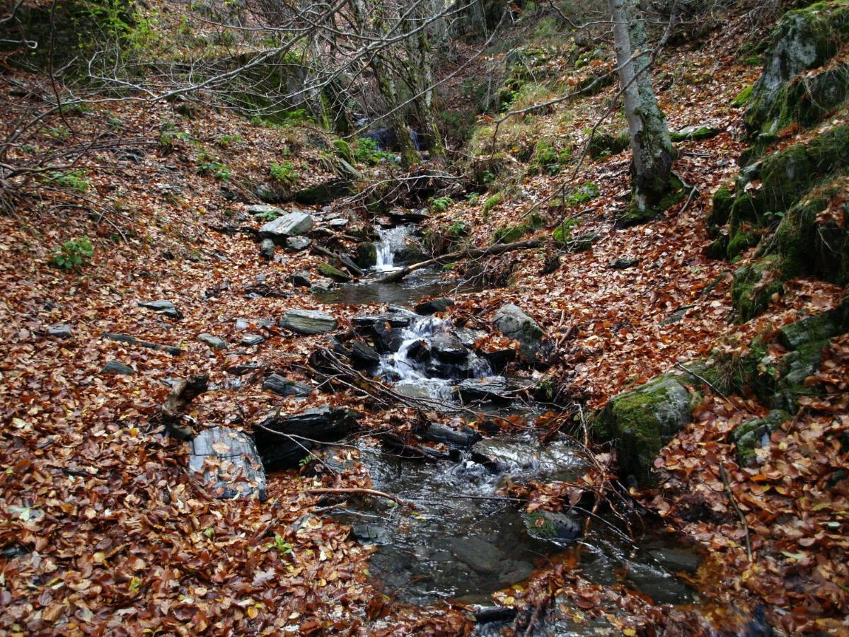 El Huerto De Leon Villa Pradena del Rincon ภายนอก รูปภาพ