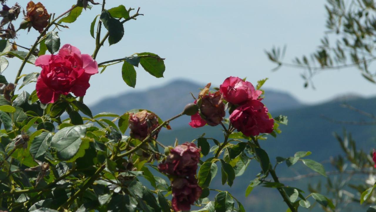 El Huerto De Leon Villa Pradena del Rincon ภายนอก รูปภาพ