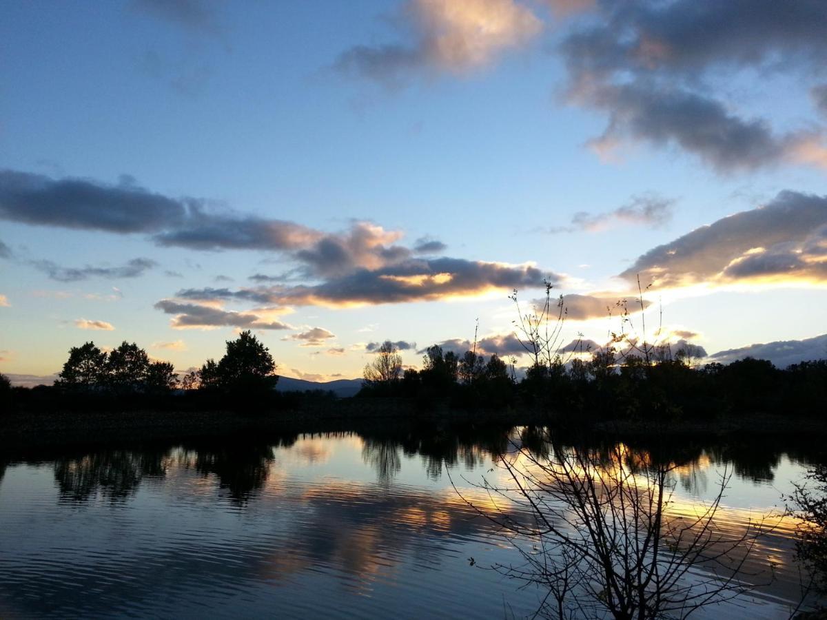 El Huerto De Leon Villa Pradena del Rincon ภายนอก รูปภาพ