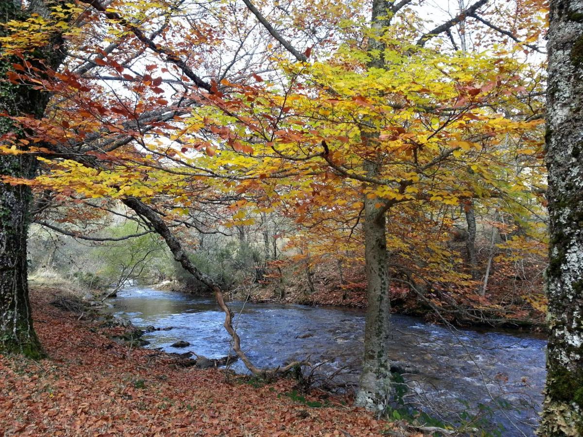 El Huerto De Leon Villa Pradena del Rincon ภายนอก รูปภาพ